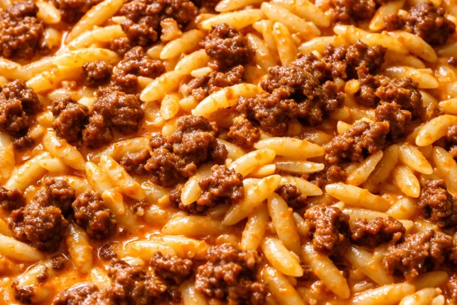 Creamy ground beef orzo with tender pasta in a rich tomato sauce, topped with fresh parsley and grated Parmesan cheese.